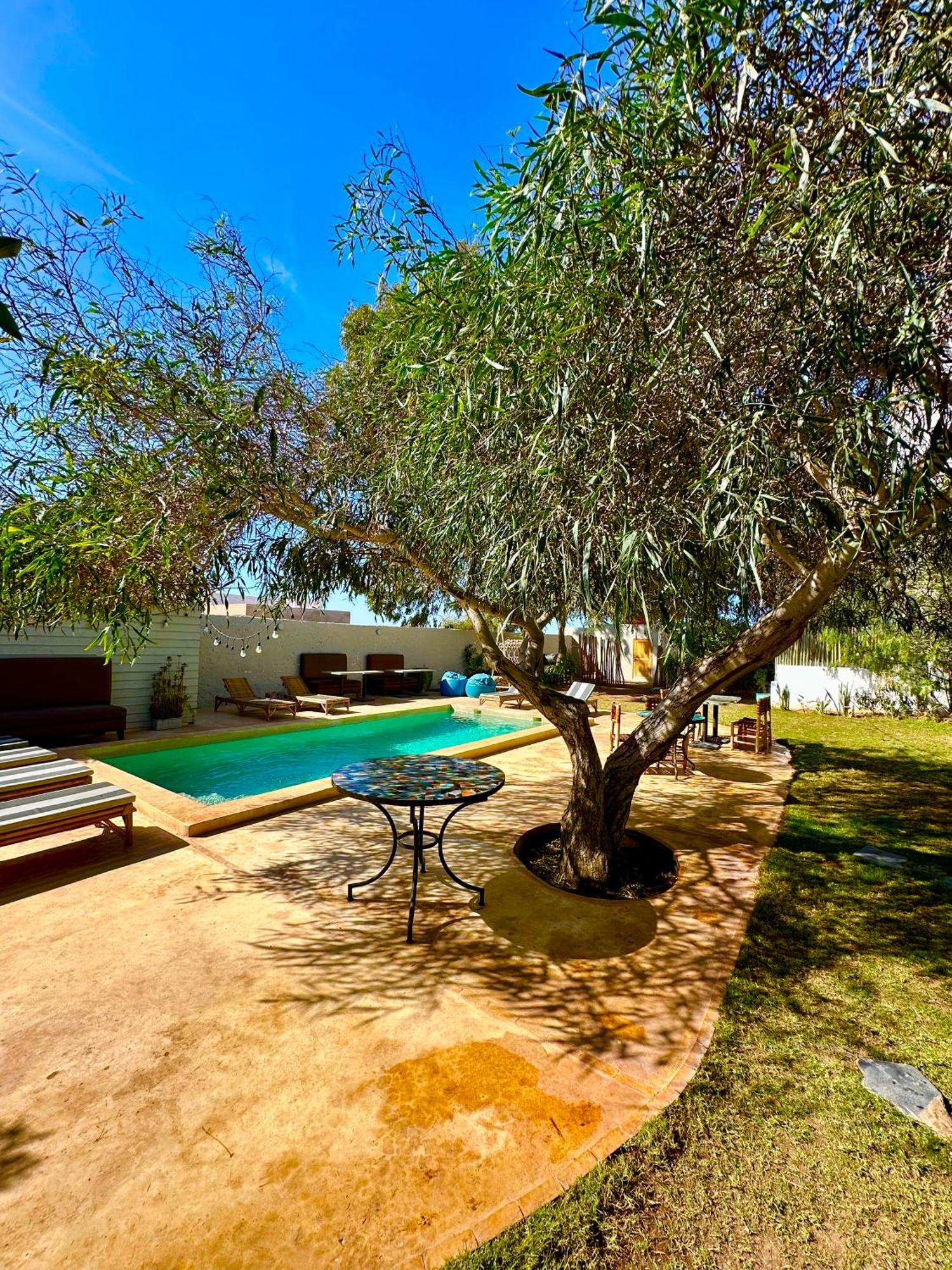 אסאוירה Villa Nour מראה חיצוני תמונה